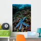 Blue Starfish Clings to Wall Decal Design 4