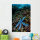 Blue Starfish Clings to Wall Decal Design 4