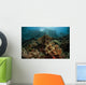 Beautiful Coral Reef Grows Wall Decal