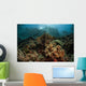 Beautiful Coral Reef Grows Wall Decal