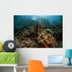 Beautiful Coral Reef Grows Wall Decal