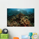 Beautiful Coral Reef Grows Wall Decal