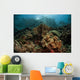 Beautiful Coral Reef Grows Wall Decal