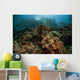 Beautiful Coral Reef Grows Wall Decal
