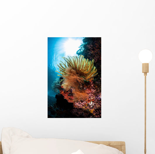 Colorful Crinoid Komodo National Wall Decal Design 1