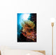Colorful Crinoid Komodo National Wall Decal Design 1