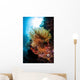 Colorful Crinoid Komodo National Wall Decal Design 1