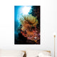 Colorful Crinoid Komodo National Wall Decal Design 1