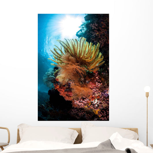 Colorful Crinoid Komodo National Wall Decal Design 1