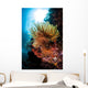 Colorful Crinoid Komodo National Wall Decal Design 1