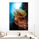 Colorful Crinoid Komodo National Wall Decal Design 1