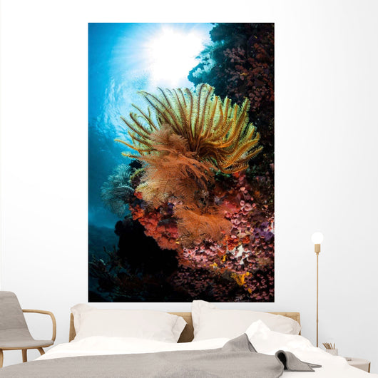 Colorful Crinoid Komodo National Wall Decal Design 1