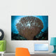Sunlight Sparkles through Table Wall Decal