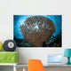 Sunlight Sparkles through Table Wall Decal