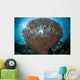 Sunlight Sparkles through Table Wall Decal