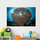 Sunlight Sparkles through Table Wall Decal
