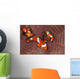 False Clownfish Swimming around Wall Decal