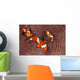 False Clownfish Swimming around Wall Decal