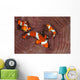 False Clownfish Swimming around Wall Decal