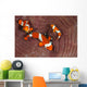 False Clownfish Swimming around Wall Decal
