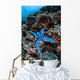 Blue Starfish Clings to Wall Decal Design 2