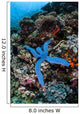 Blue Starfish Clings to Wall Decal Design 2