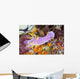 Beautiful Nudibranch Crawls Slowly Wall Decal