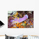 Beautiful Nudibranch Crawls Slowly Wall Decal