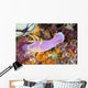 Beautiful Nudibranch Crawls Slowly Wall Decal