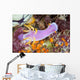 Beautiful Nudibranch Crawls Slowly Wall Decal