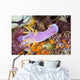 Beautiful Nudibranch Crawls Slowly Wall Decal