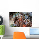 Mantis Shrimp Peers out Wall Decal