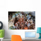 Mantis Shrimp Peers out Wall Decal