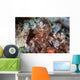 Mantis Shrimp Peers out Wall Decal