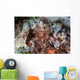 Mantis Shrimp Peers out Wall Decal