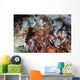Mantis Shrimp Peers out Wall Decal