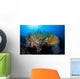 Colorful Crinoids Aggregate Healthy Wall Decal
