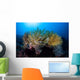 Colorful Crinoids Aggregate Healthy Wall Decal
