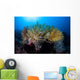 Colorful Crinoids Aggregate Healthy Wall Decal