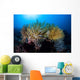 Colorful Crinoids Aggregate Healthy Wall Decal