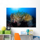 Colorful Crinoids Aggregate Healthy Wall Decal