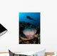 Diver Hovers above Magnificent Wall Decal Design 2