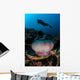 Diver Hovers above Magnificent Wall Decal Design 2