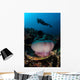 Diver Hovers above Magnificent Wall Decal Design 2