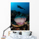 Diver Hovers above Magnificent Wall Decal Design 2