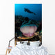 Diver Hovers above Magnificent Wall Decal Design 2