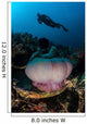 Diver Hovers above Magnificent Wall Decal Design 2