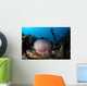 Diver Hovers above Magnificent Wall Decal Design 1