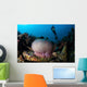 Diver Hovers above Magnificent Wall Decal Design 1