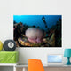 Diver Hovers above Magnificent Wall Decal Design 1
